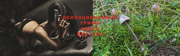 скорость Михайловск