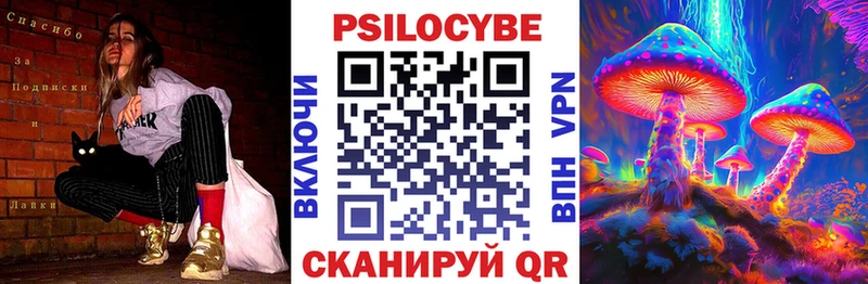 Купить  Медынь  Галлюциногенные грибы Psilocybine cubensis 